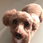 Betty Yip - @betty.yip.7547 - Instagram