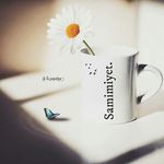 Betül Hatipoğlu - @betul_htpgl - Instagram