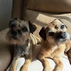 Bev Andrews - Facebook