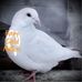 Bev Baker - Facebook