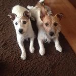 Bev Baker - @bev5632 - Instagram