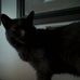 Beverly Daoust - Facebook