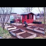 bev davis - @bevs_veggies - Instagram