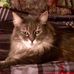 Bev Demers - Facebook