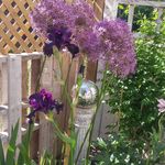 Bev Demers - @demersbev - Instagram