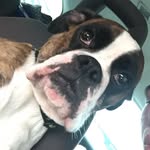 Bev Dickinson - @dickinson.11 - Instagram
