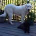 Beverly Dierks - Facebook