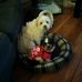 Beverley Dillon - Facebook