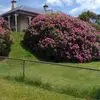 Beverley Dillon - @beverley.dillon87 - TikTok
