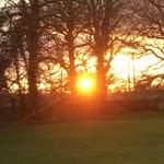Bev Dobson - @bev.dobson - Instagram