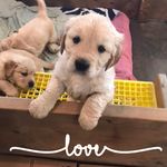Bev Dobson - @bevdobson1 - Instagram