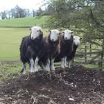 Bev Dobson - @bevbury85 - Instagram