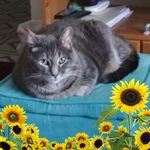 Bev Dobson - @bevie665 - Instagram