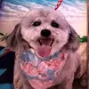 bevdobson6 - @bevdobson6 - TikTok