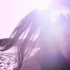 Bee Dumont - @beedumont - TikTok