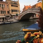 Bev Dunn - @bev.dunn.403 - Instagram