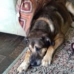 Bev Dunn - @bev.dunn.58 - Instagram