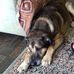 Bev Dunn - Facebook