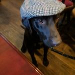 Bev Dunne - @bev.dunne - Instagram