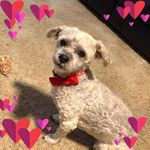 Bev Dwyer - @rilime4735 - Instagram