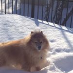 Bev Dwyer - @bhdwyer - Instagram