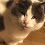 @bevdwyerpriv - Instagram