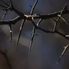 Bedwards - @bevsteeleedwards - TikTok