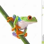 Bev Elder - @mopurr.318 - Instagram