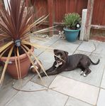 Bev Ellis - Facebook