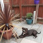 Bev Ellis - Facebook