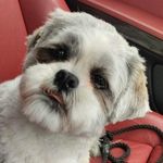 Bev Ellis - @beve754 - Instagram