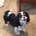 Bev Evans - @bev5639 - Instagram