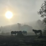 Bev Evans - @gertknapper - Instagram
