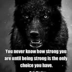 Bev Farrell - Facebook