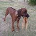 Bev Fowler - Facebook