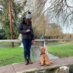 Bev Fox - @bevfox49 - Instagram