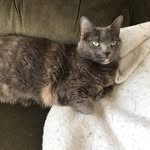 Bev Frank - @zebbishere - Instagram
