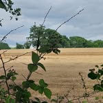 Bev Frank - @bev.frank.927 - Instagram