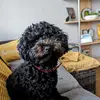 bev - @bevfraser3572 - TikTok