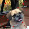 Bev Fraser596 - @bevfraser0 - TikTok