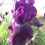 Bev Fraser - @jigger1950 - Instagram