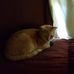 Bev Fredette - Facebook