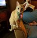 Bev Fredette - Facebook