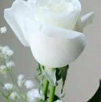Bev Fry - Facebook