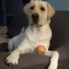 bevgannon386 - @bevgannon386 - TikTok