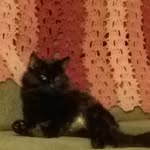 Bev Gilbert - @bev.gilbert.165 - Instagram