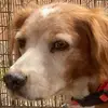 bev.giles257 - @bev.giles257 - TikTok