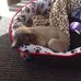 Bev Glover - Facebook