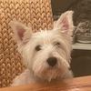 bev.goldberg - @bev.goldberg - TikTok