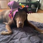 Bev Goodgame - @bev.goodgame - Instagram